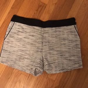 BNWT loft shorts size 12